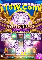 Apostas de Tênis 55zz